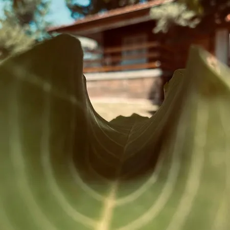 Σπίτι διακοπών Helona